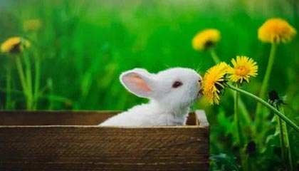 乐鱼体育-青少年足球比赛跨年举行，培养坚韧意志与团队合作精神，青少年的足球联赛